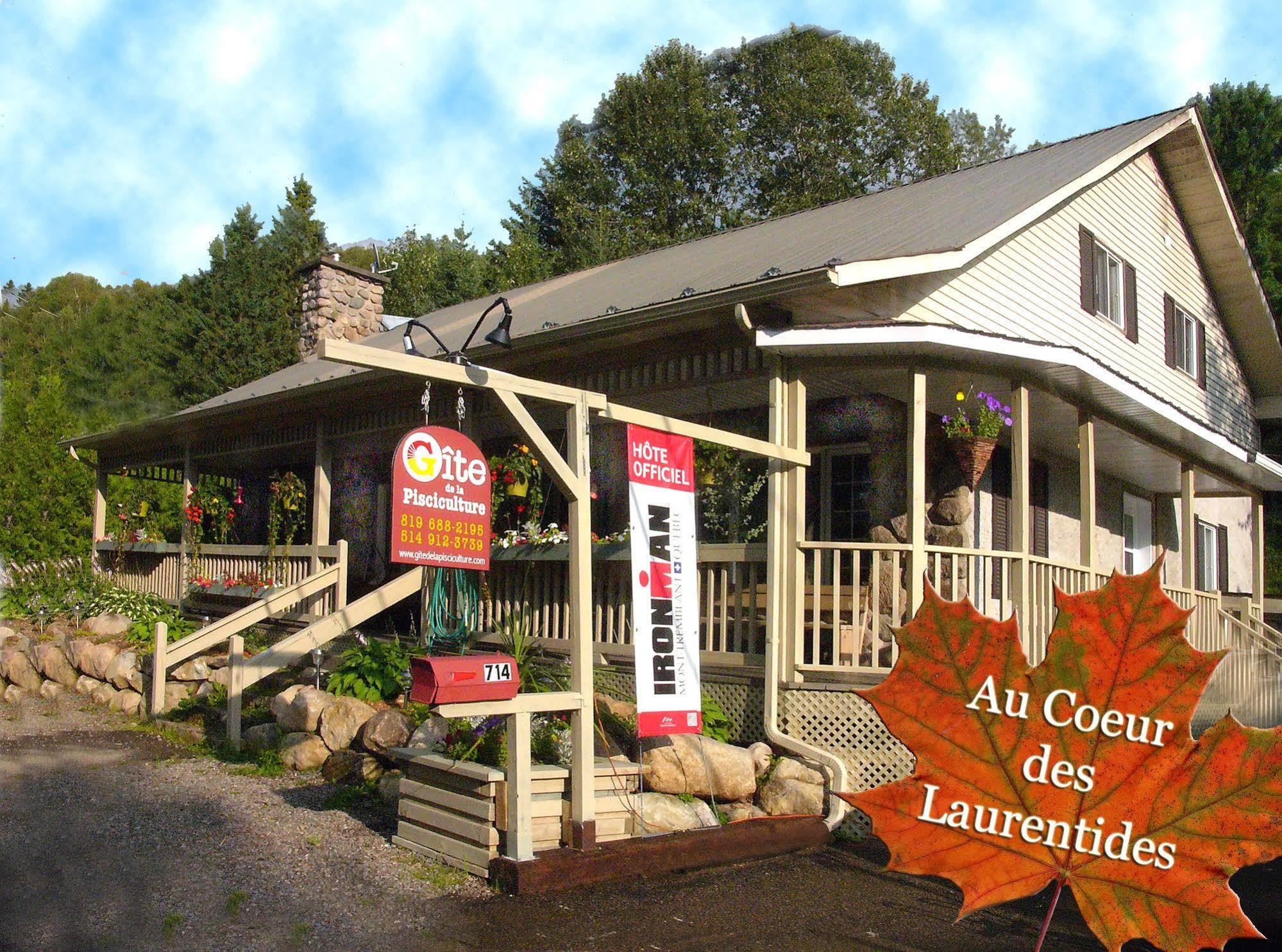 Bed and Breakfast Gite De La Pisciculture Saint-Faustin-Lac-Carre Экстерьер фото