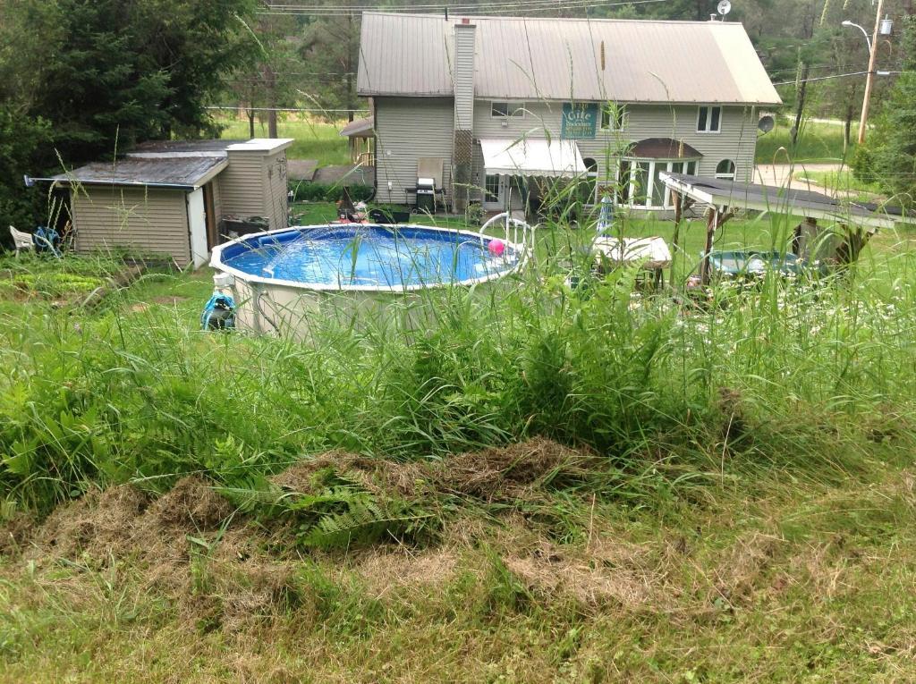 Bed and Breakfast Gite De La Pisciculture Saint-Faustin-Lac-Carre Экстерьер фото