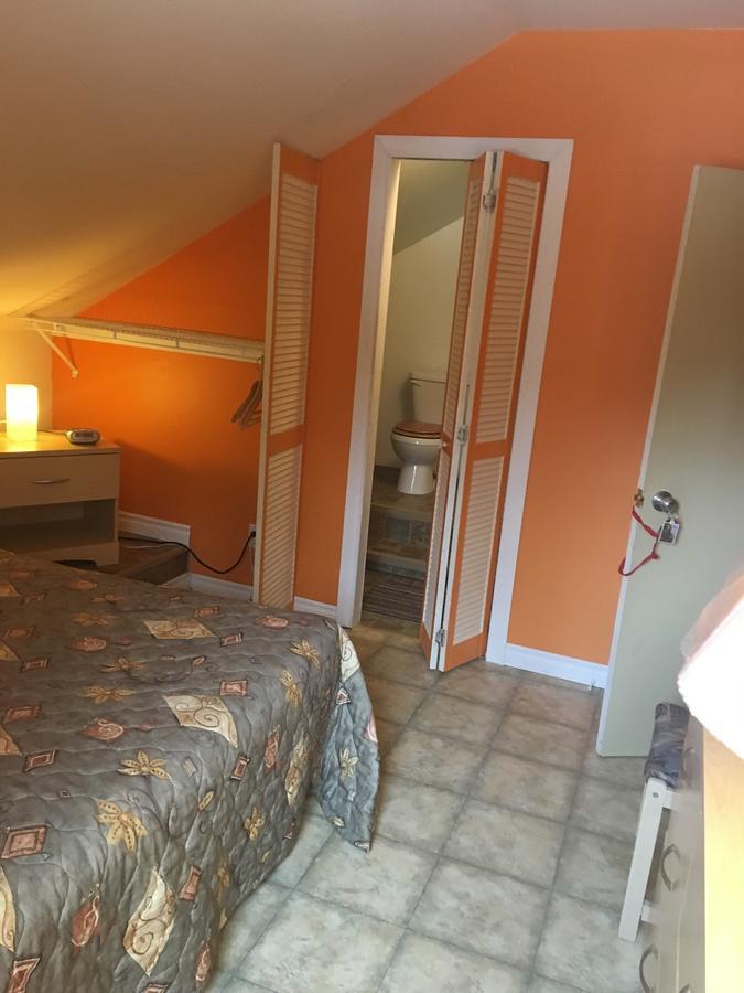 Bed and Breakfast Gite De La Pisciculture Saint-Faustin-Lac-Carre Экстерьер фото